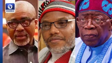 Sen Abaribe Pleads With Tinubu For The Release Of Nnamdi Kalu