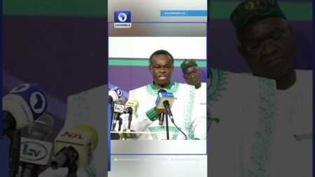 The Day We Do Census Properly Nigeria Will Discover Her Population Is 350 million – Patrick Lumumba