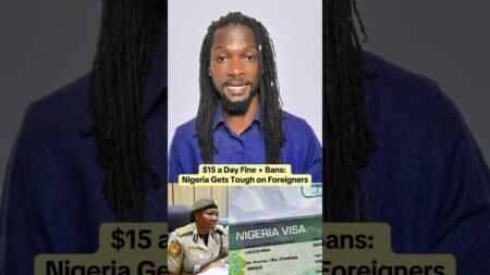 Nigeria clamps down on illegals. #nigeria #immigration #fyp #viral #news #viralstory #viralposts