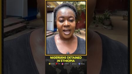 Repatriation of Dozens of Nigerians Stalled Amid Ethiopia MOU Delays | WION Shorts