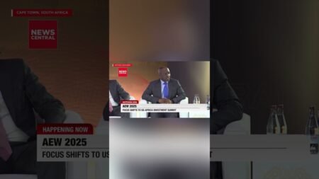 Gas is Nigeria’s growth engine — Ekpo explains why