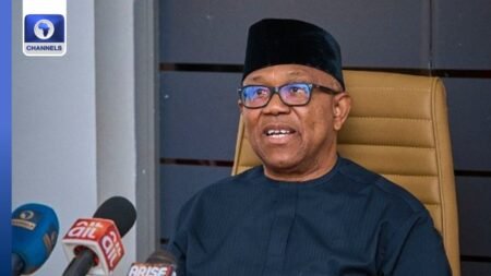Independence Day: Nigeria Has Been Greatly Diminished Under APC’s Leadership – Peter Obi