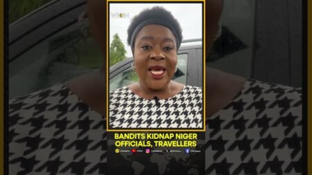 Niger State Bandits Kidnap Electoral Commissioner, Ex-SUBEB Chair, and Dozens of Travellers | WION