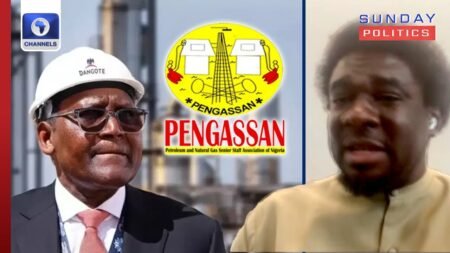 PENGASSAN Strike: FG Must Call Dangote To Order – Festus Osifo | Sunday Politics