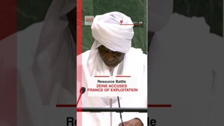BREAKING NEWS: Niger’s Zeine Exposes France’s Uranium Exploitation at UN