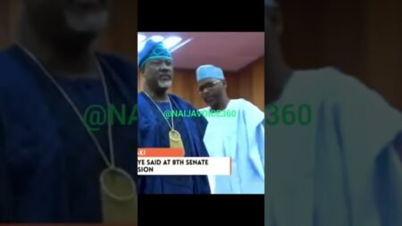 DINO PRAISE SARAKI #nigeria #news #shorts