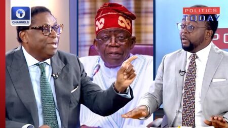 Economist Lauds Tinubu’s Economic Policy, Decries Reckless Spending | Politics Today