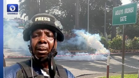 ChannelsTV Correspondent Reports From #FreeNnamdiKanu Protest In Abuja