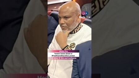 Police issue strong warning ahead of planned #FreeNnamdiKanuNow protest  #short #goviral #nnamdikanu