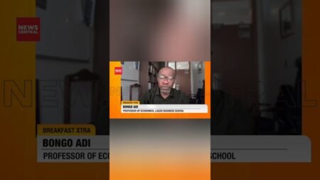 Nigeria Can’t Stabilise Its Currency Without an Export-Driven Economy”