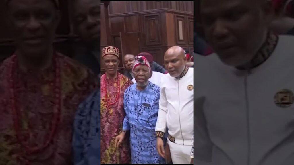 Nnamdi Kanu Fit for Court: Panel Confirms Readiness to Face Charges