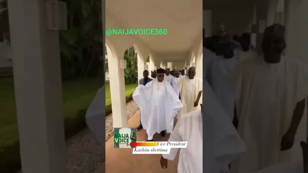 Vice President Of Nigeria #news #viral #shorts