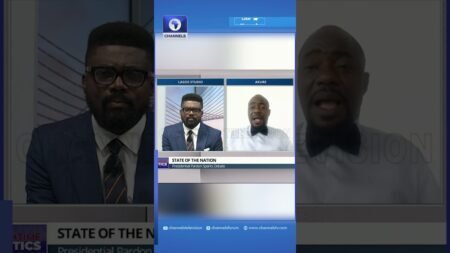 We’ve Donated Omoyele Sowore To Struggle For Nigeria — Brother