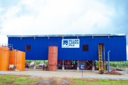 Ellah Lakes enters pact to acquire Tolaram’s agro-processing business