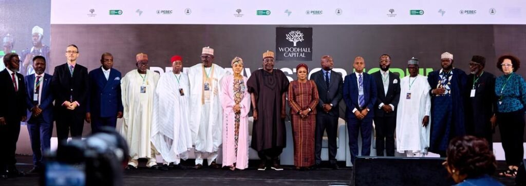 NGF, federal stakeholders, Woodhall Capital explore funding frameworks for state-led infrastructure – Organisers