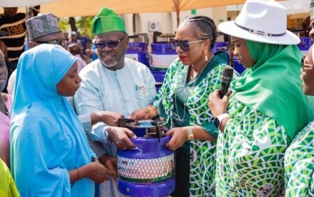 FCTA launches projects to curb maternal deaths, household air pollution
