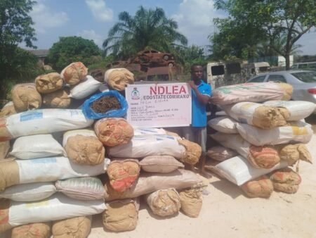 NDLEA arrests Lagos hotelier, seizes 1.7 tonnes of cannabis