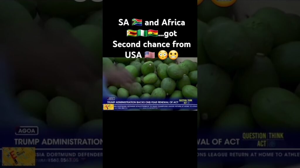 #news #southafrica #africa #usa #nigeria #ghana #shortsfeed #shortshorts #shortvideo #shorts #short