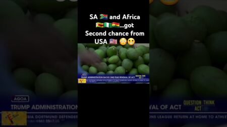 #news #southafrica #africa #usa #nigeria #ghana #shortsfeed #shortshorts #shortvideo #shorts #short
