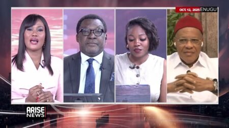 Nnamdi Kanu: Rules Governing Igbos Appear to Be Different from Rest of Nigeria – Aguocha