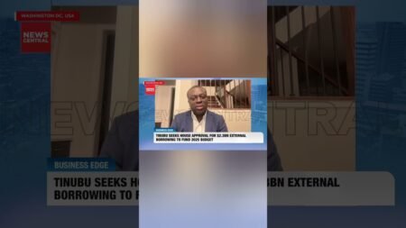 Seun Onigbinde: Nigeria’s Multiple Budgets Expose Fiscal Mismanagement