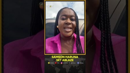 Nigerian Army Officer Samson Haruna Reportedly Died in a Domestic Violence | WION Shorts