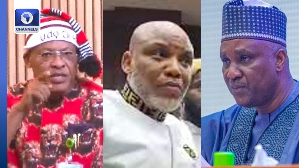 ‘You Can’t Shut Me Up’, Abia Rep In Heated Argument With Speaker Over Nnamdi Kanu’s Case