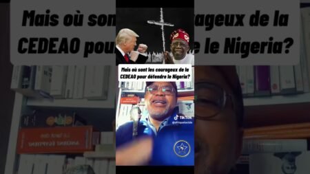 #fypシ #duet #afrique #youtubeshorts #africa #viral #news #duo #justice #nigeria #politics #pourtoi