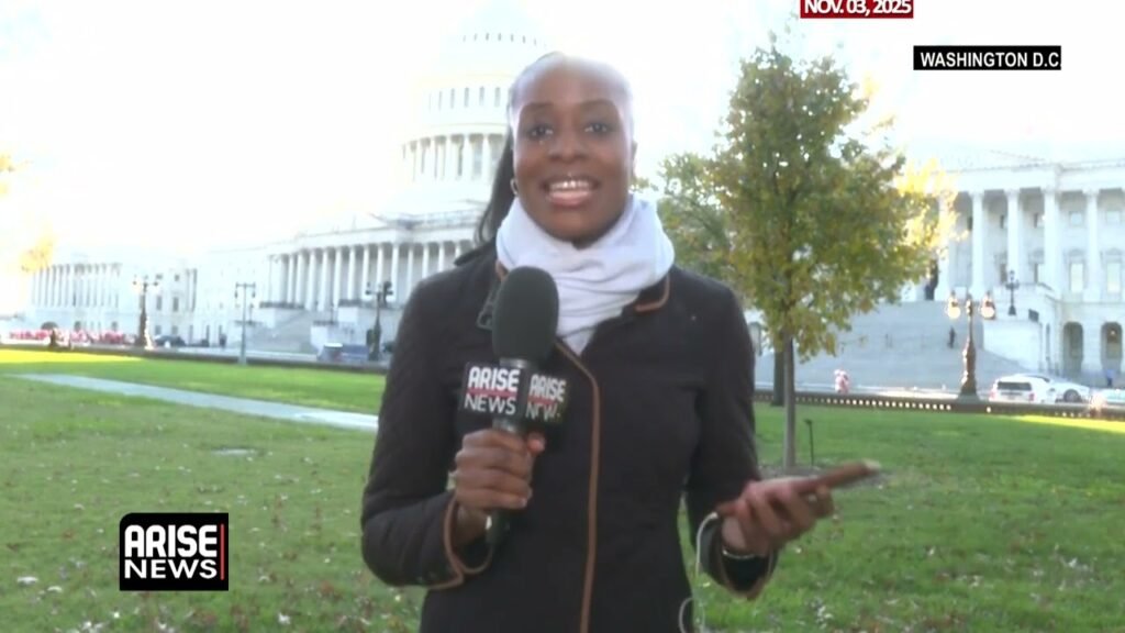 Trump Threatens Entry To Nigeria ‘Guns-A-Blazing’ – Anieze Osakwe