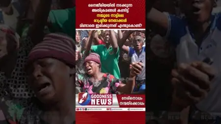 നൈജീരിയയിലെ നടുക്കുന്ന അതിക്രമങ്ങൾ .. കണ്ണുതുറക്കാതെ ലോകം|SUDAN|NIGERIA |TRUMP| PRIEST|GOODNESS NEWS