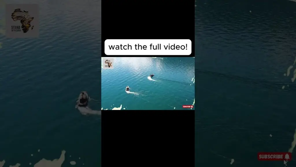 Trump V. Nigeria #nigerianews  #africanews #africa