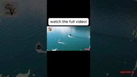 Trump V. Nigeria #nigerianews  #africanews #africa