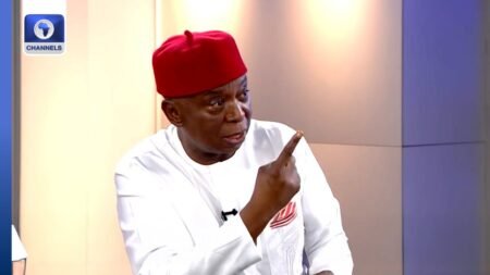 I Feel Sorry For Men With One Wife — Ned Nwoko