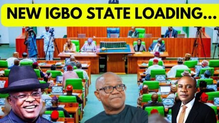 National Assembly Create New State in South-East Nigeria — Historic Moment for the Igbo Nation!