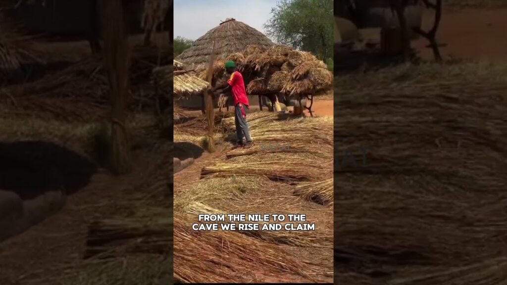 Africa. #youtube #viral #foryou #shorts #watch #nigeria #naijagist #news #africa #trending #foryou