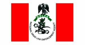 How NDLEA Intercepted Cocaine Shipment From Brazil, Detains Ship, 20 Filipino Crew Members How NDLEA Intercepted Cocaine Shipment From Brazil, Detains Ship, 20 Filipino Crew Members