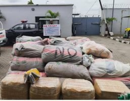 In Pictures: NDLEA arrests Lagos hotelier, seizes 1.7 tonnes of cannabis