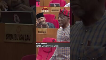 Will Nigeria’s Senate Make kidnapping a Capital Offence??#news#usa#nigeria#update#goviral#youtube#