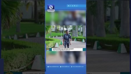 President Tinubu Has No Interest In Stopping The Killings – Lawyer #channelstv #channelstvnews