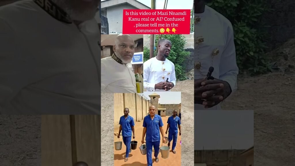 MNK video real or AI? Help me verify! #NnamdiKanu #AIorReal #Biafra #NigeriaNews #MNK