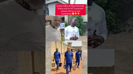 MNK video real or AI? Help me verify! #NnamdiKanu #AIorReal #Biafra #NigeriaNews #MNK