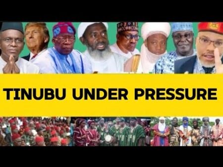 BREAKING NEWS: Northern Senators STUN Nigerians With Fresh Demand From Tinubu!