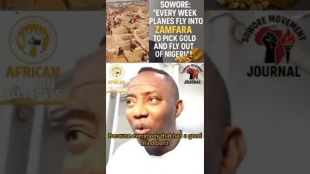 Sowore Alleges Weekly Flights Carrying Zamfara Gold Out of Nigeria #nigerianews #shots #viral #fyp
