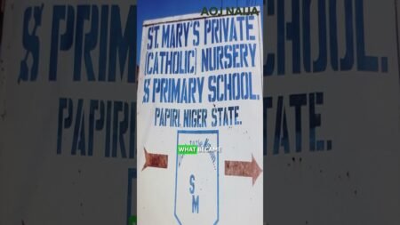 100 KIDNAPPED STUDENTS RELEASED. 156 REMAIN IN CAPTIVITY #news #nigerianews