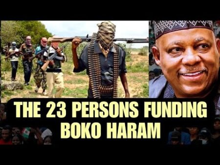 EXCLUSIVE! Names of 20 Nigerians, 3 Foreigners Indicted for Funding B○ko Haram in UAE Trial Exposed