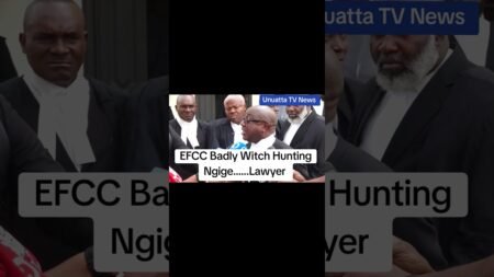 EFCC Badly Witch Hunting Ngige……Lawyer #news #nigeria #igbo #bolatinubu ##fyp EFCC Badly Witch Hunting Ngige……Lawyer #news #nigeria #igbo #bolatinubu ##fyp
