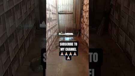 WHERE I LIVE#Nigeria#NigeriaNews#TrendingNigeria#BreakingNews#NigeriaToday#NaijaTrending WHERE I LIVE#Nigeria#NigeriaNews#TrendingNigeria#BreakingNews#NigeriaToday#NaijaTrending