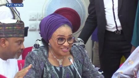 Senate Clears Omokri, Fani Kayode, Yakubu, Others As Ambassadors Senate Clears Omokri, Fani Kayode, Yakubu, Others As Ambassadors