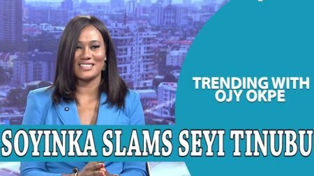 Wole Soyinka Slams Seyi Tinubu’s Security + Fubara Joins APC+ Remi Tinubu Warns Adeleke| OjyOkpe Wole Soyinka Slams Seyi Tinubu’s Security + Fubara Joins APC+ Remi Tinubu Warns Adeleke| OjyOkpe