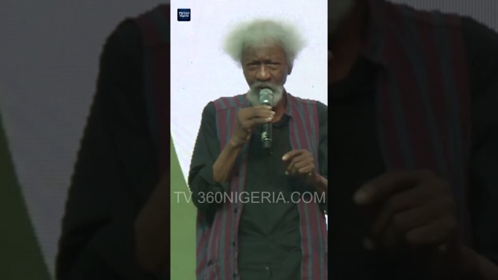 Wole Soyinka hits at Tinubu over Seyi Tinubu’s security details